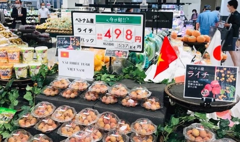 输日荔枝按照200克小盒包装，以489日元的促销价（原价为537日元）出售，相当于每200克超过10万越盾。