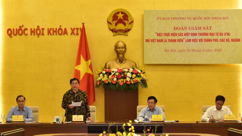 越南国会常务副主席丛氏放发表讲话。（图片来源：VGP）