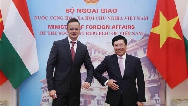 范平明副总理和彼得·西雅尔多部长。（图片来源：越通社）