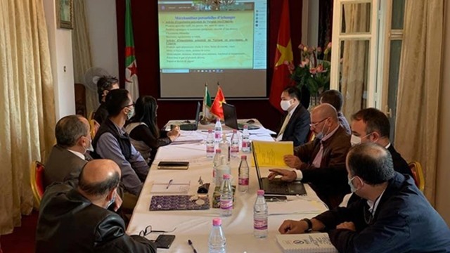 越南驻阿尔及利亚大使馆举办有关挖掘越南和阿尔及利亚贸易与投资潜力的视频研讨会。