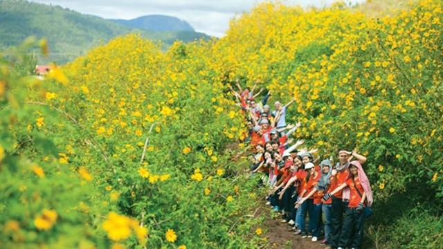 每天共有数千名游客来到巴维国家公园观景赏花和拍照。