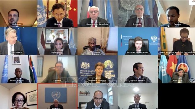 联合国安理会的一场视频会议。