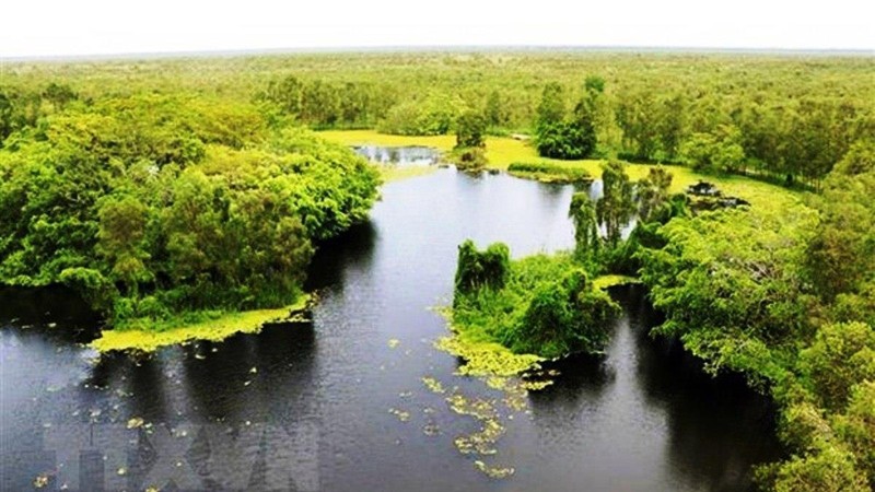 附图：越南努力保护并可持续利用湿地资源。