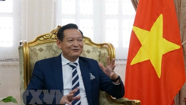 越南驻埃及大使陈成功。