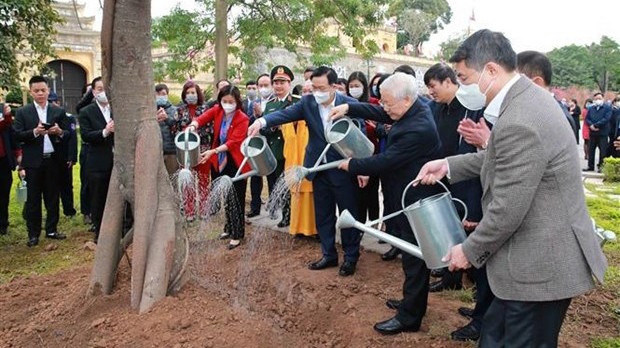 越共中央总书记、国家主席阮富仲在升龙皇城遗迹区上香和植树留念。