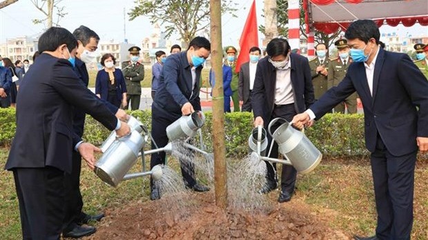 太平省领导代表参加植树节。