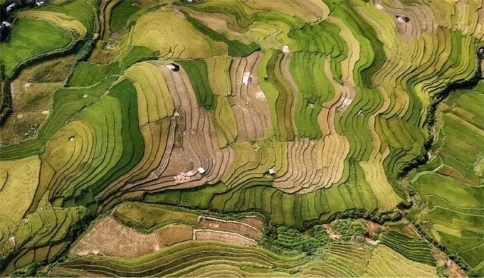 越南摄影师武孟强以《山纹》的作品荣获“旅游”主题的金奖。