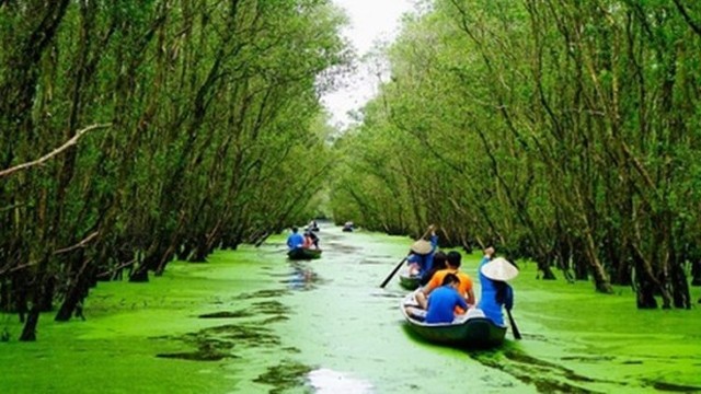茶师白千层树林是安江省颇具吸引力的旅游目的地。