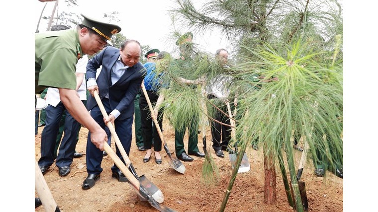 越南国家主席阮春福参加植树活动。（图片来源：越通社）