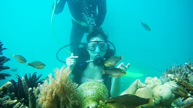 在越南富国岛香岛观赏珊瑚礁。