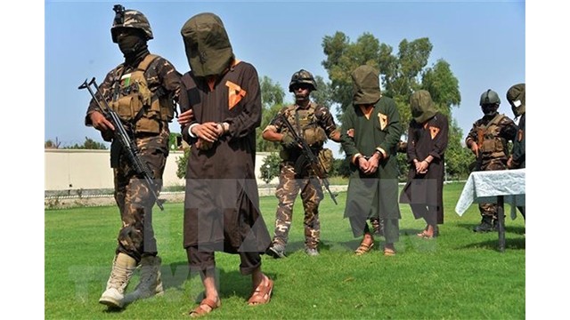 附图：阿富汗安全力量在贾拉拉巴德省使护送可疑的IS和塔利班战斗人员。（图片来源：越通社）