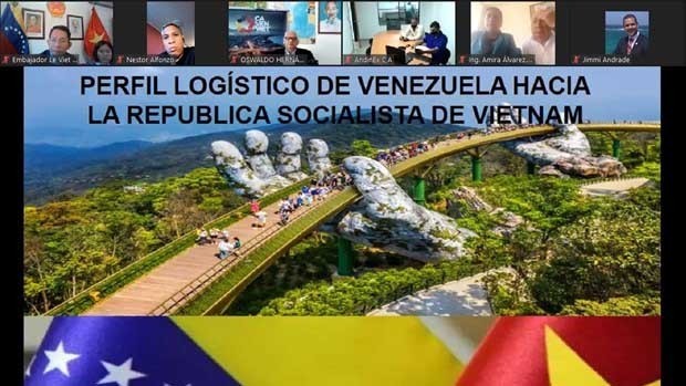 “越南与委内瑞拉贸易促进活动”视频研讨会。（图片来源：越通社）
