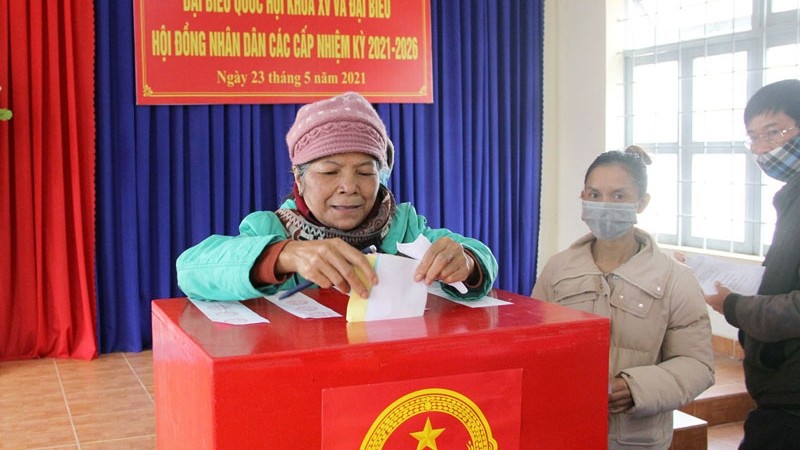 林同省人民参加投票活动。