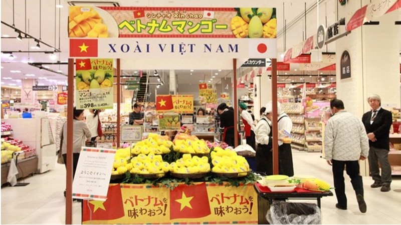 越南芒果在日本超市上架出售。