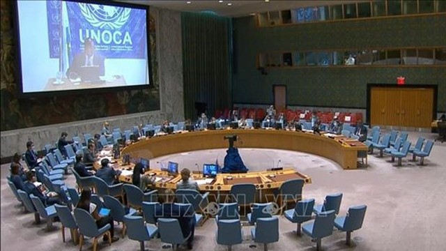 联合国安理会关于中非局势的会议场景。
