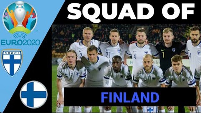 芬兰队。