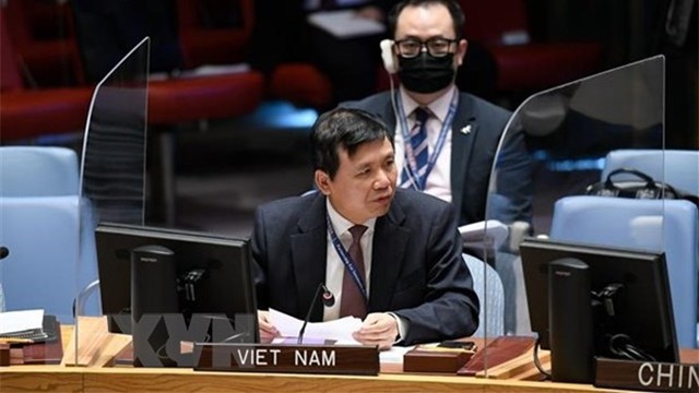 越南驻联合国代表团首席代表邓廷贵大使在会议上发表讲话。（图片来源：越通社）