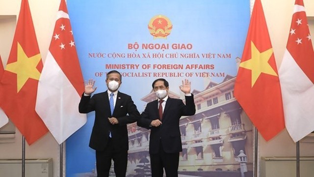 越南外交部部长裴青山与新加坡外长维文合影。