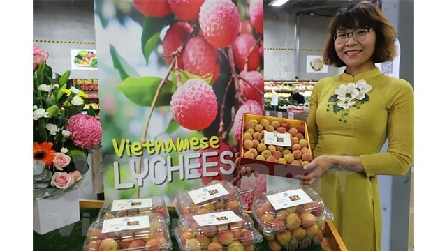 进口自越南的一公斤新鲜优质荔枝以3000澳元（约合5300万越盾）的高价售出。