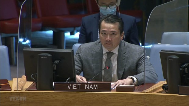 越南常驻联合国代表团副团长范海英大使。（图片来源：越通社）