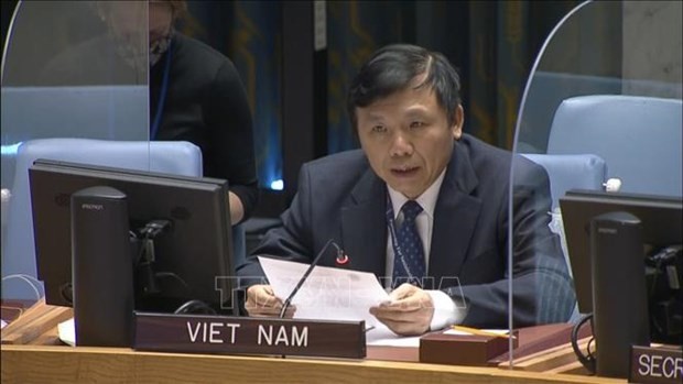越南常驻联合国代表邓廷贵。（图片来源：越通社）
