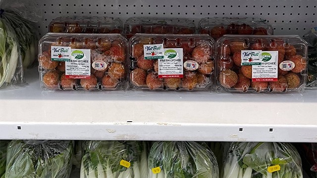 越南荔枝在英国超市上架。（图片来源：越通社）