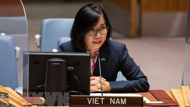 越南驻联合国代表团副团长、公使衔参赞阮芳茶。（图片来源：越通社）