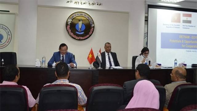 “越南—埃及贸易、文化与旅游合作前景”的企业论坛。（图片来源：越通社）