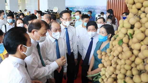 越南兴安省人民委员会举行龙眼和农产品供需对接会。