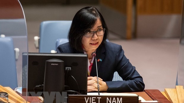 越南驻联合国代表团副团长阮芳茶。（图片来源：越通社）