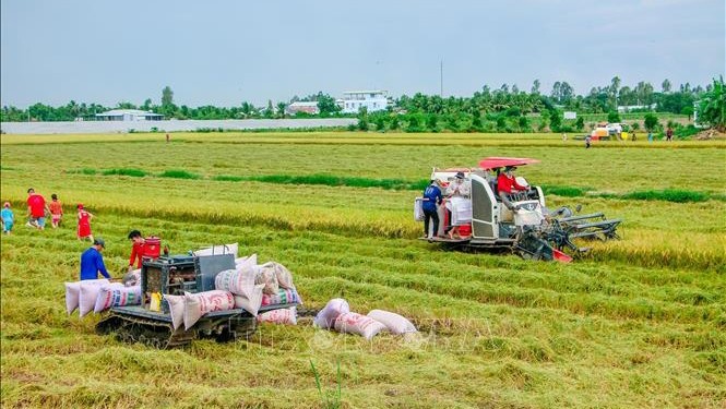 附图：农业是2021年前7个月实现贸易顺差的行业之一。