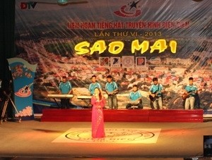第6届奠边省电视演唱大赛决赛的一个节目。 (Photo: 图片来源：越通社)