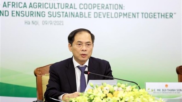 越南外交部部长裴青山在研讨会上发言。
