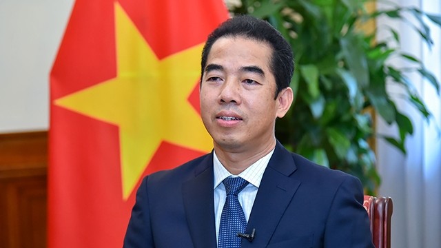 越南外交部副部长苏英勇。（图片来源：国际报）
