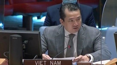 越南常驻联合国代表团副团长范海英。（图片来源：越通社）