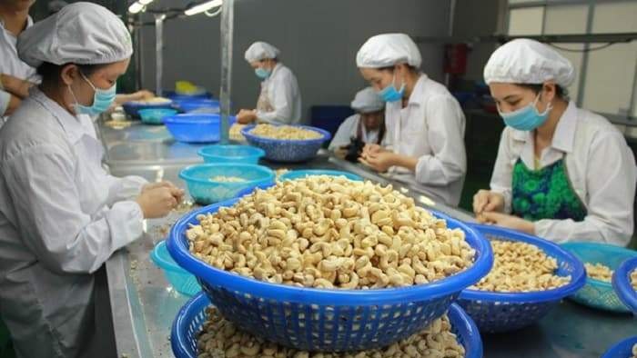越南是土耳其第一大腰果进口市场。