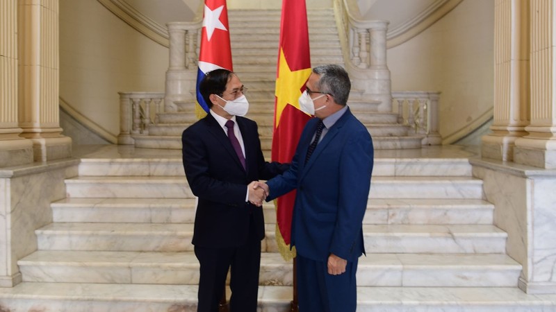 越南外交部长裴青山会见古巴外交部代理部长冈萨雷斯。（图片来源：国际报）