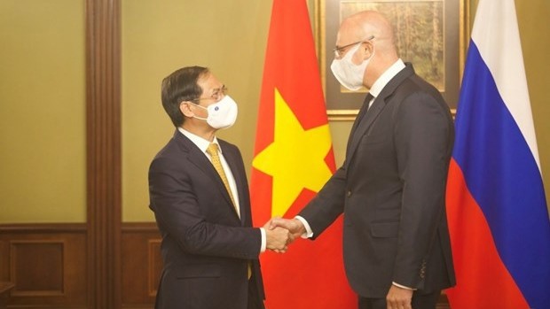 越南外交部部长裴青山会见俄罗斯副总理德米特里•切尔尼申科。（图片来源：越通社）