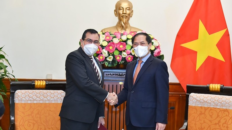越南外长裴青山会见巴拿马驻越大使。（图片来源：国际报）