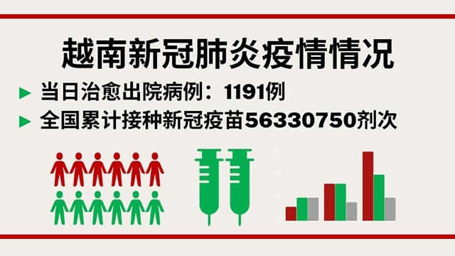 越南10月13日新增新冠确诊病例 3458【图表新闻】