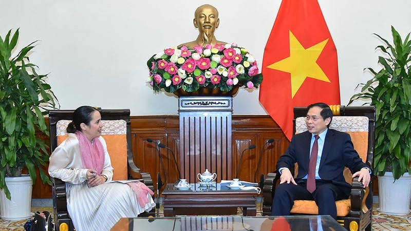 越南外交部长裴青山会见新西兰新任驻越大使崔德妮·切丽·多布森。（图片来源：越南与世界报）