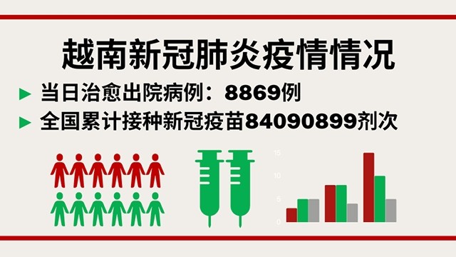 11月3日越南新增新冠确诊病例 6192例【图表新闻】