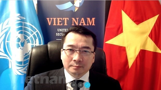 越南常驻联合国代表团副团长范海英大使。（图片来源：越通社）