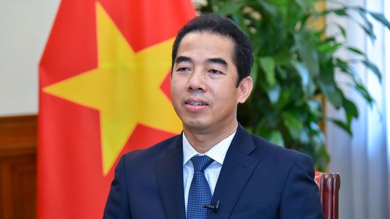 越南外交部副部长苏英勇。（图片来源：国际报）