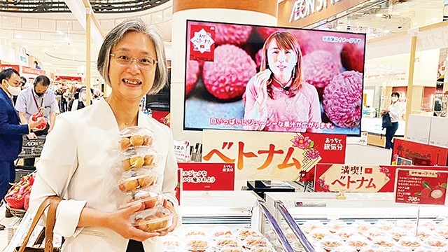 越南荔枝深受日本消费者欢迎。