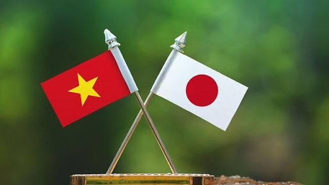 越南与日本广泛战略伙伴关系发展历程的主要里程碑【图表新闻】