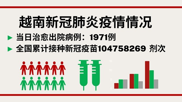 19日越南新增新冠肺炎确诊病例9625例【图表新闻】
