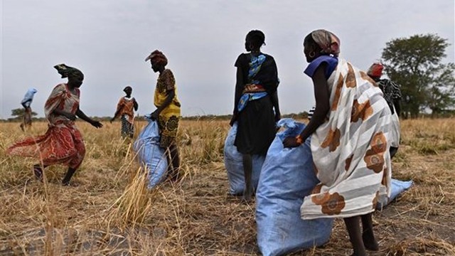 南苏丹阿约德人民接收粮食援助。