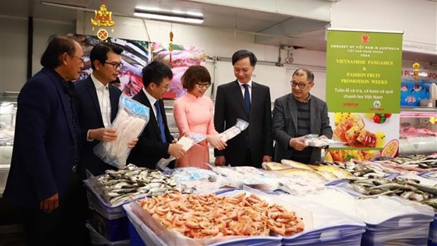 越南驻澳大利亚大使阮必成发起越南无鳞鱼品牌宣传计划 。（图片来源：越通社）