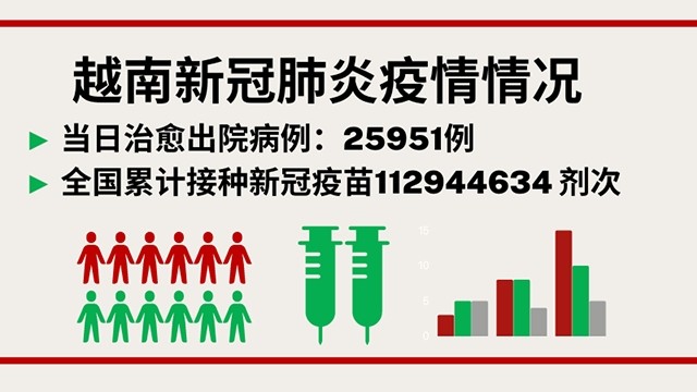 11月24日越南新增11811例本地新冠肺炎确诊病例【图表新闻】